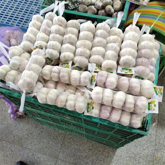 Fresco chino 4P ajo blanco puro precio barato vegetales frescos al por mayor 2