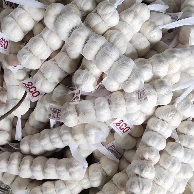 Fresco chino 4P ajo blanco puro precio barato vegetales frescos al por mayor 4