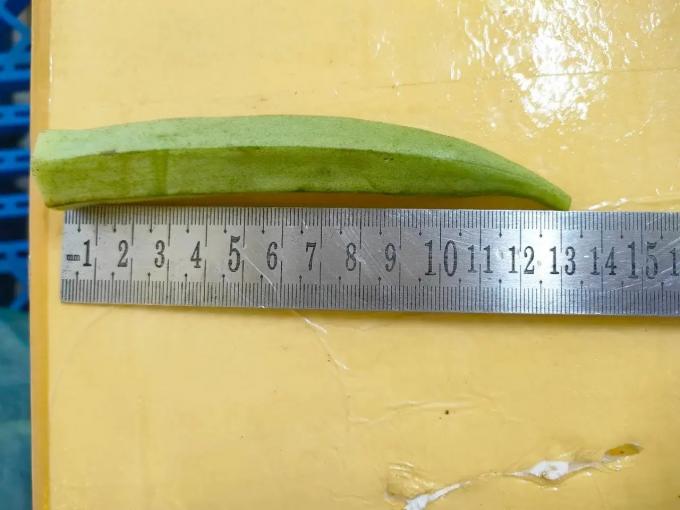 Okra Premium IQF de Dama Congelada, Entera y en Rodajas, para Cocinar, Proveedor Mayorista a Granel de Vietnam 2