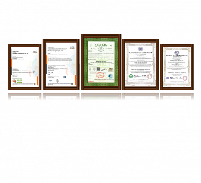 Pechuga de pollo deshuesada congelada de alta calidad lista para exportaci&oacute;n en embalaje a granel 3