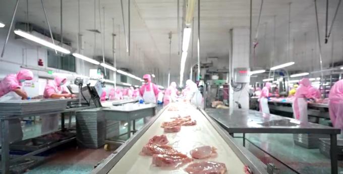 Pechuga de pollo deshuesada congelada de alta calidad lista para exportaci&oacute;n en embalaje a granel 6