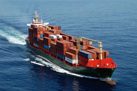 Pechuga de pollo deshuesada congelada de alta calidad lista para exportaci&oacute;n en embalaje a granel 11